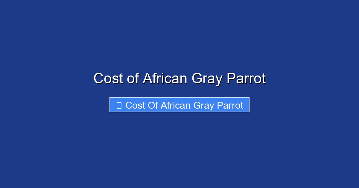 Cost of African Gray Parrot