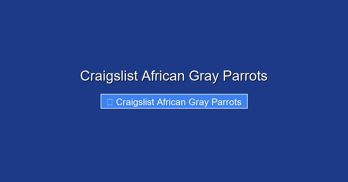 Craigslist African Gray Parrots