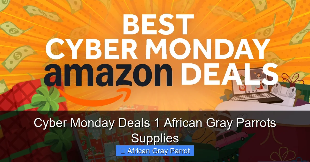Cyber Monday Deals 1 African Gray Parrots Supplies