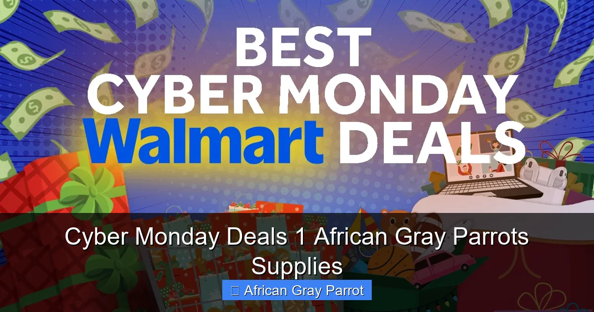 Cyber Monday Deals 1 African Gray Parrots Supplies
