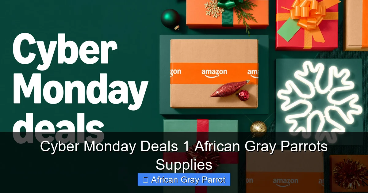 Cyber Monday Deals 1 African Gray Parrots Supplies