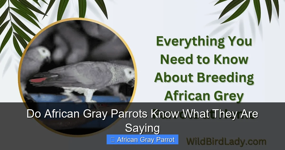 Do African Gray Parrots Know What They Are Saying