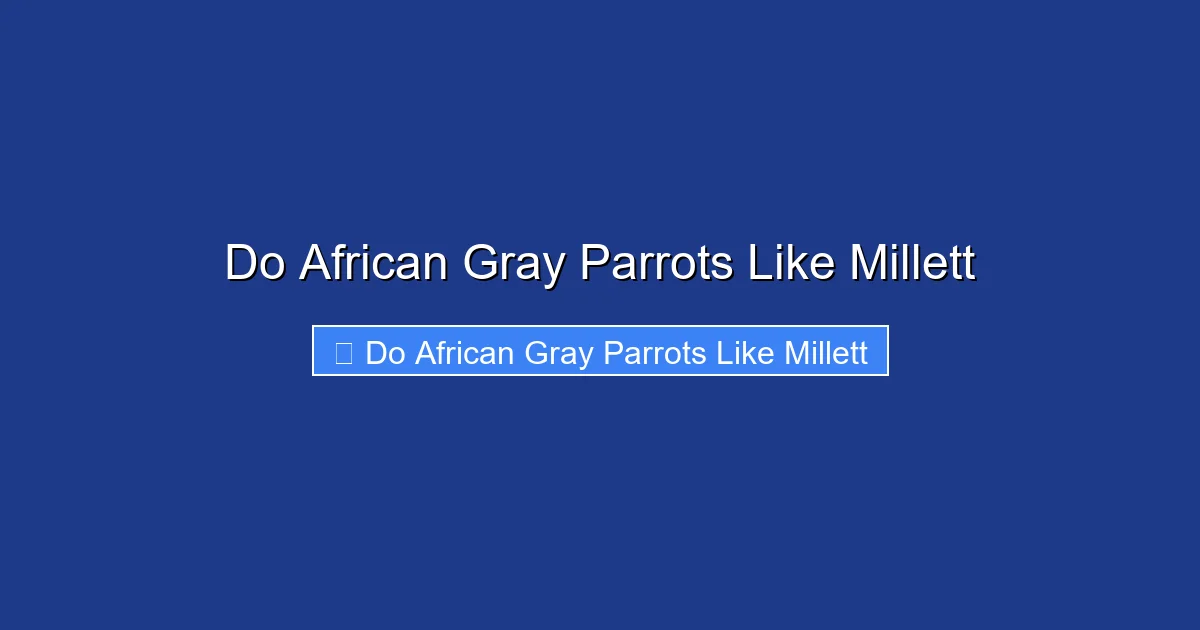 Do African Gray Parrots Like Millett