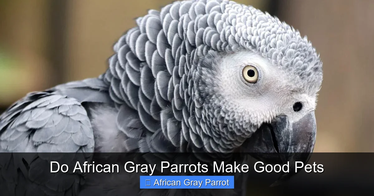 Do African Gray Parrots Make Good Pets