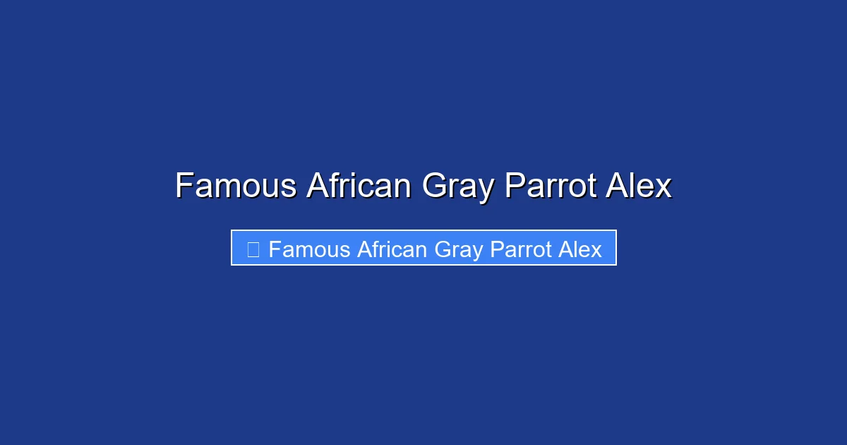 Famous African Gray Parrot Alex