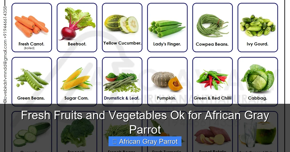Fresh Fruits and Vegetables Ok for African Gray Parrot