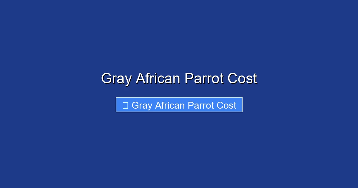 Gray African Parrot Cost