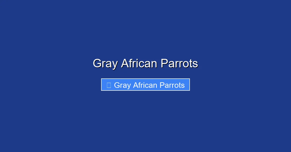 Gray African Parrots