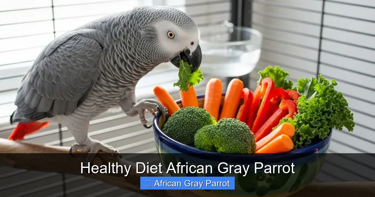 Healthy Diet African Gray Parrot