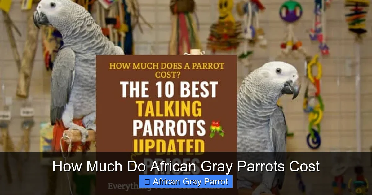 How Much Do African Gray Parrots Cost