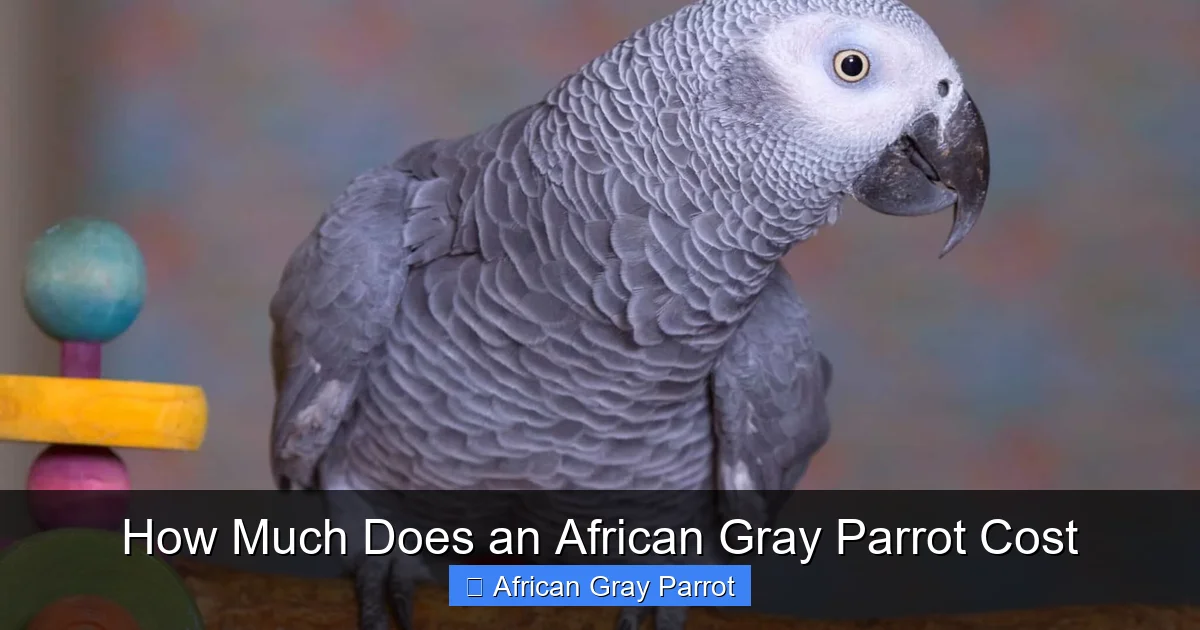 How Much Does an African Gray Parrot Cost