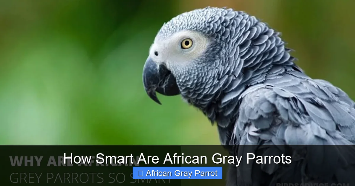 How Smart Are African Gray Parrots