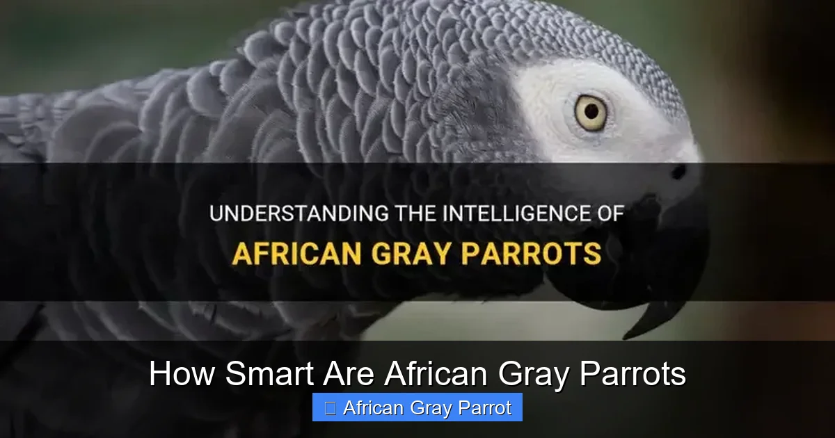 How Smart Are African Gray Parrots