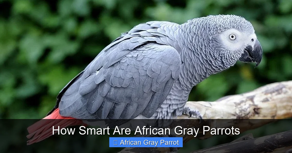 How Smart Are African Gray Parrots