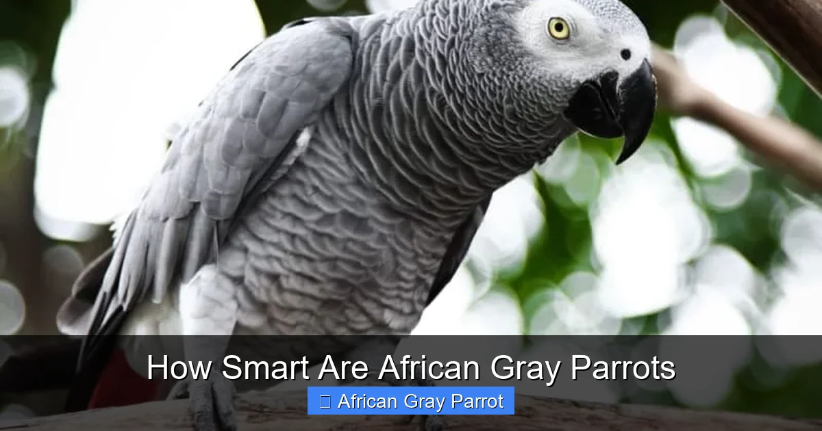 How Smart Are African Gray Parrots
