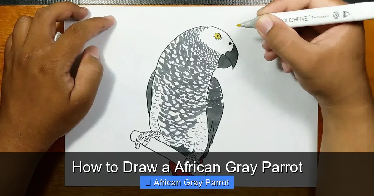 How to Draw a African Gray Parrot