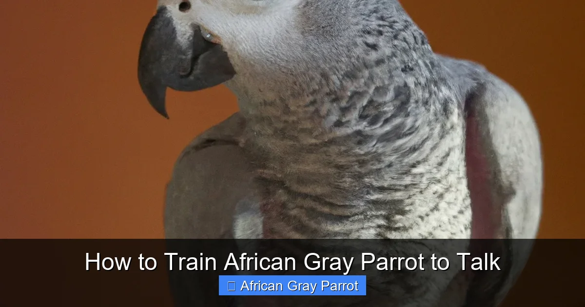 How to Train African Gray Parrot to Talk