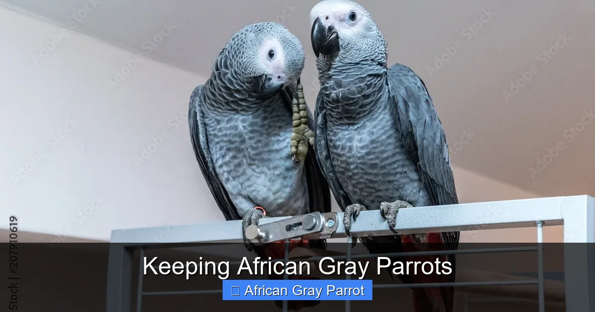 Keeping African Gray Parrots