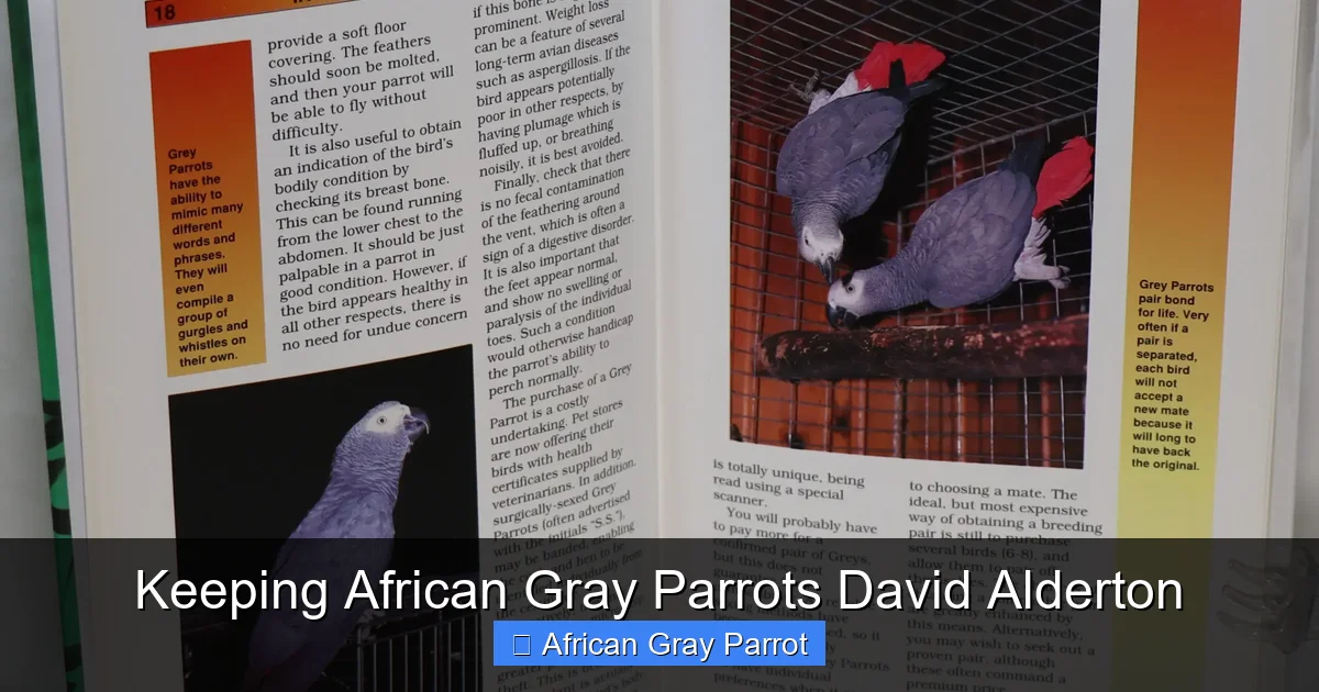 Keeping African Gray Parrots David Alderton