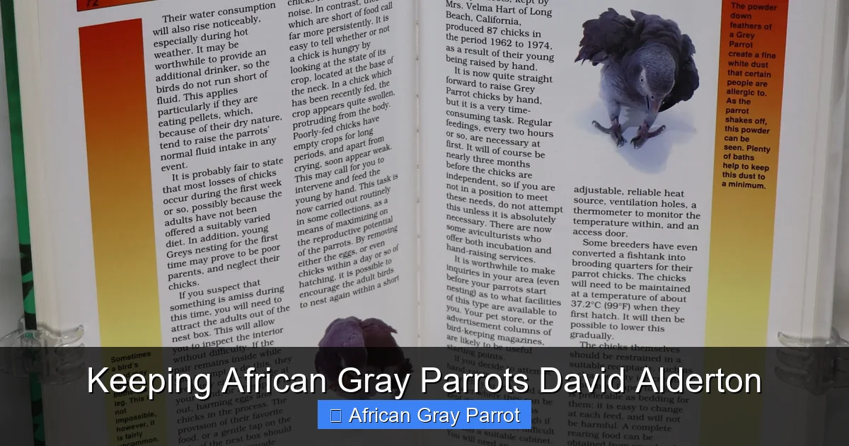 Keeping African Gray Parrots David Alderton