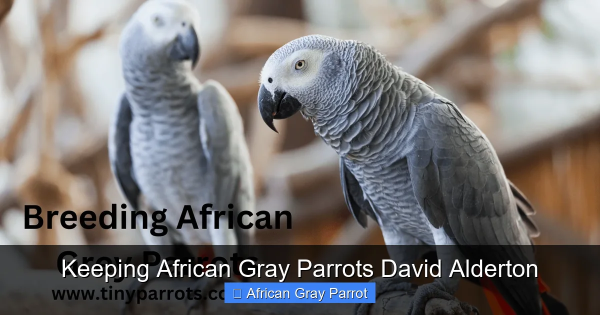 Keeping African Gray Parrots David Alderton