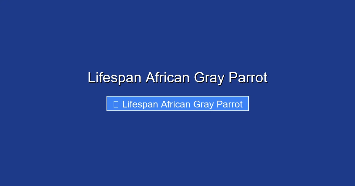 Lifespan African Gray Parrot