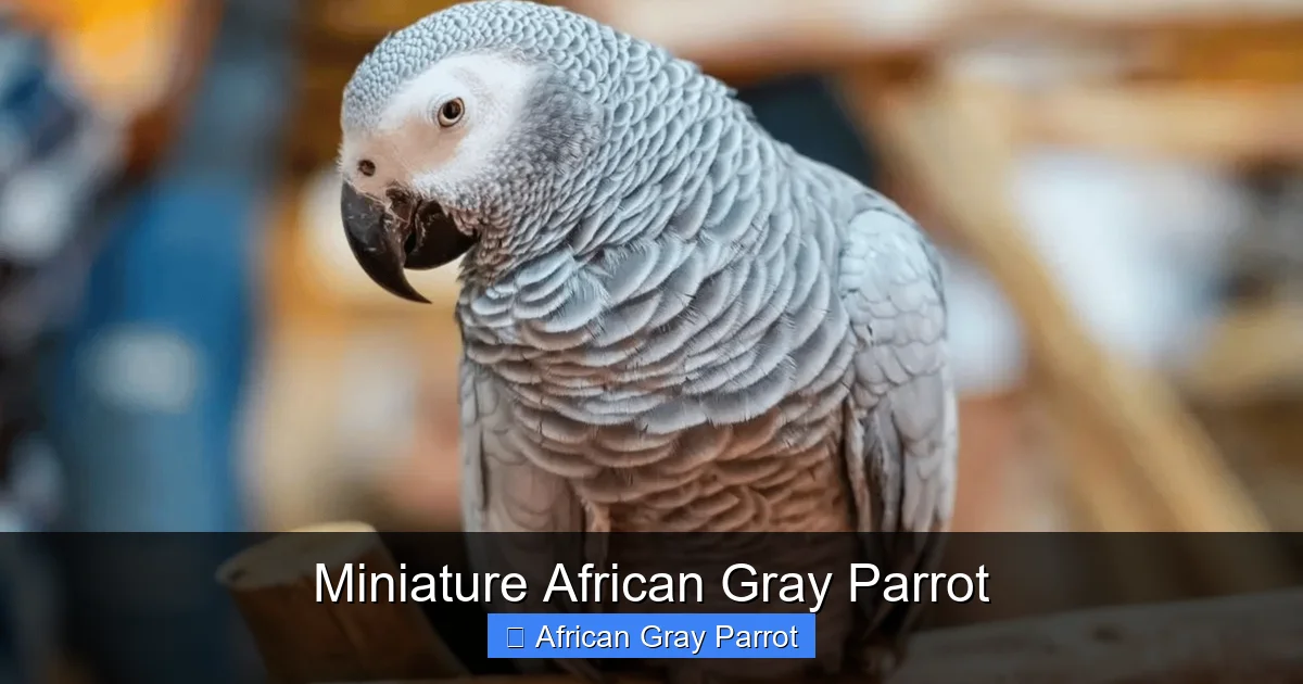 Miniature African Gray Parrot