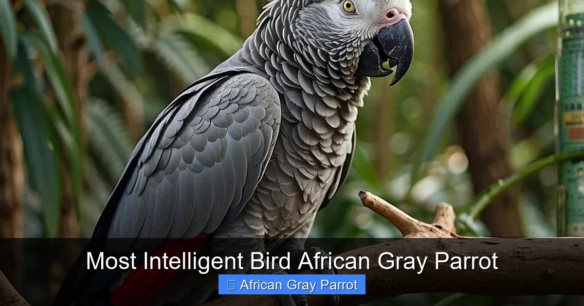 Most Intelligent Bird African Gray Parrot