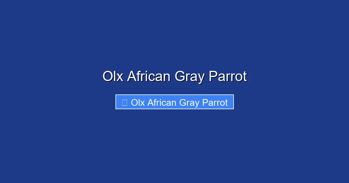 Olx African Gray Parrot