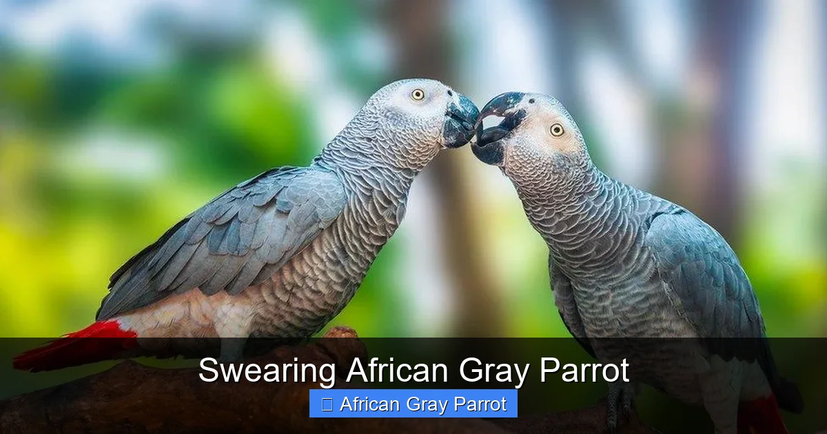 Swearing African Gray Parrot