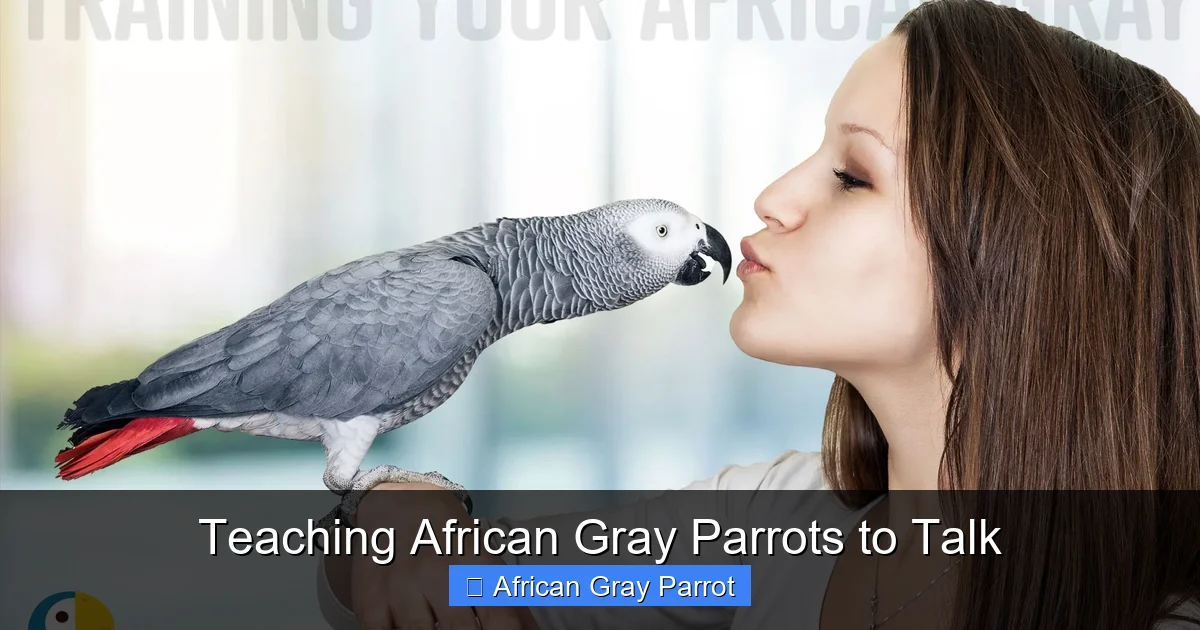 Teaching African Gray Parrots to Talk