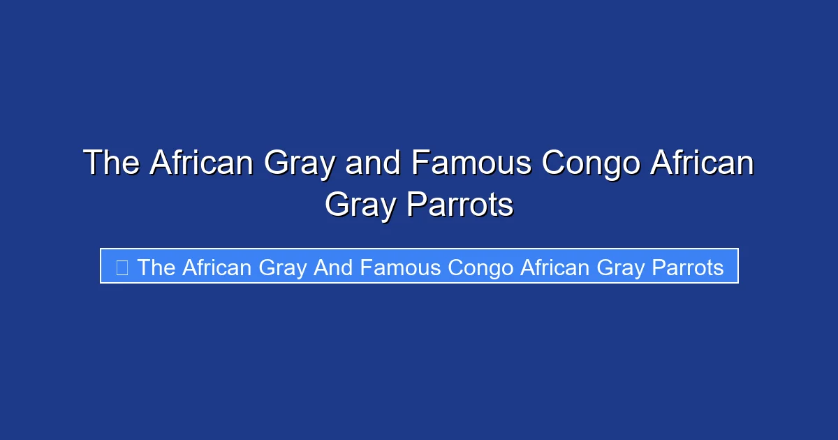 The African Gray and Famous Congo African Gray Parrots