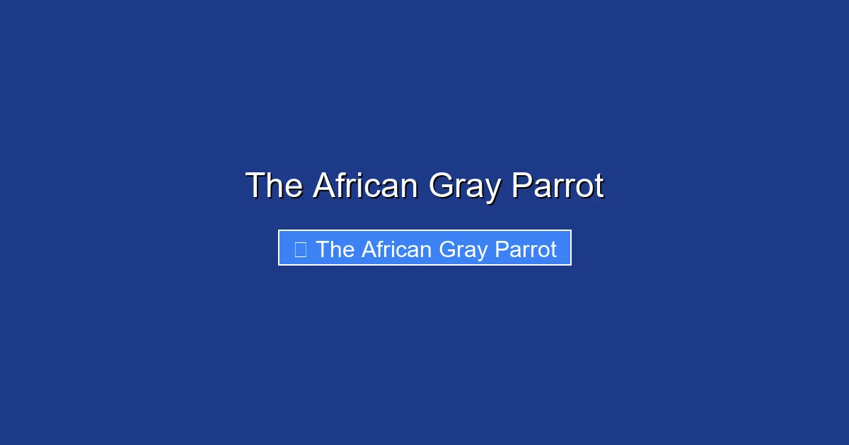 The African Gray Parrot