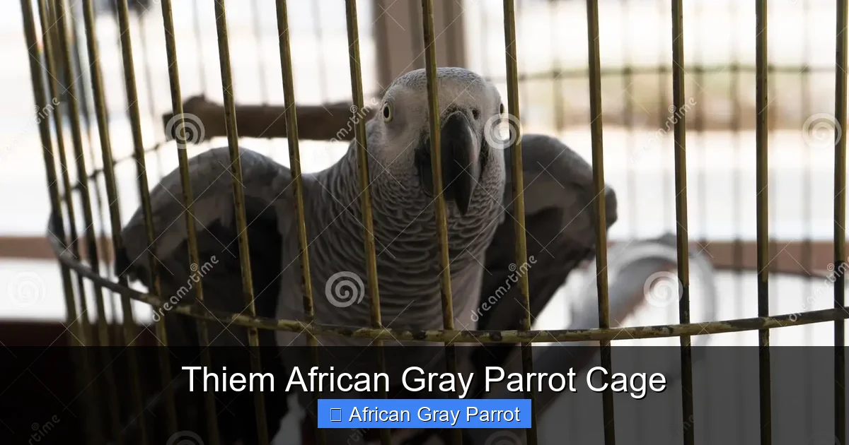 Thiem African Gray Parrot Cage