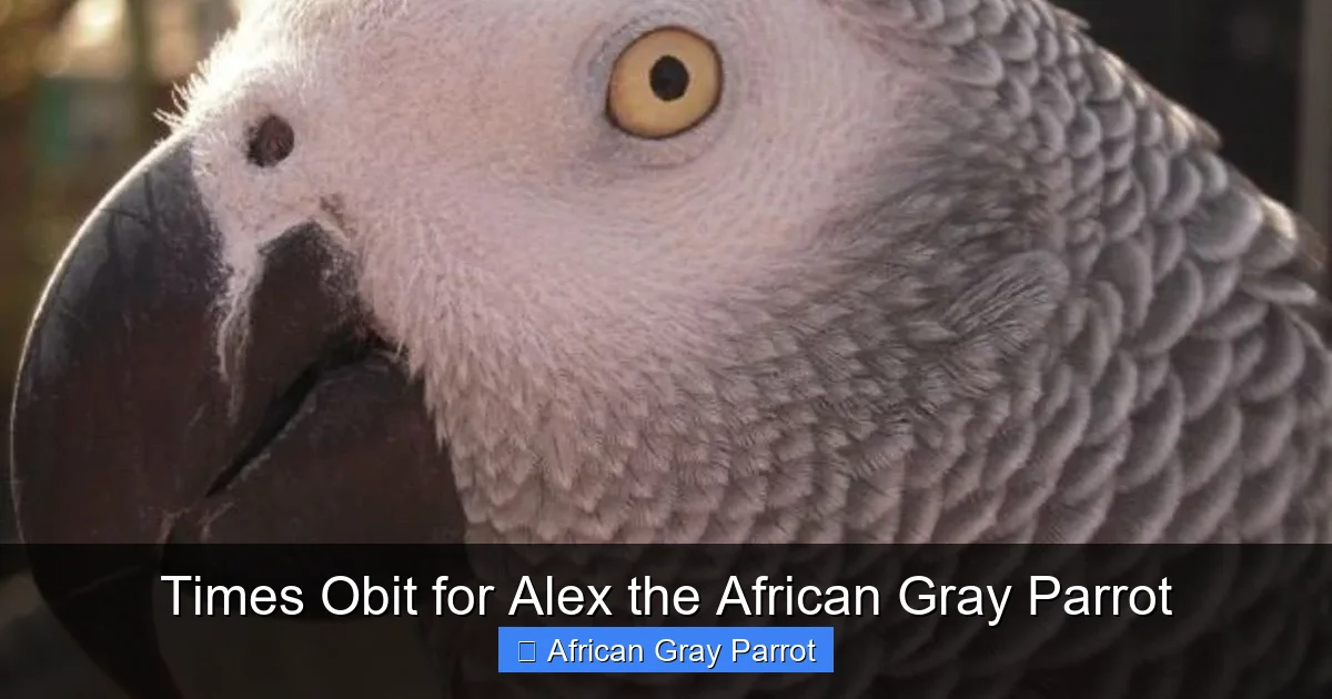 Times Obit for Alex the African Gray Parrot