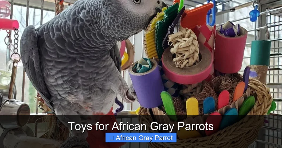 Toys for African Gray Parrots