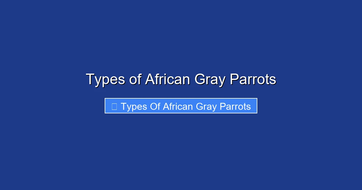 Types of African Gray Parrots