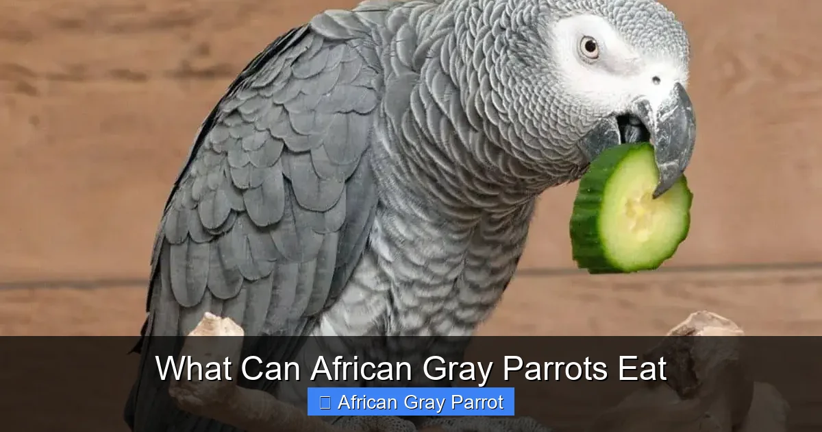 What Can African Gray Parrots Eat