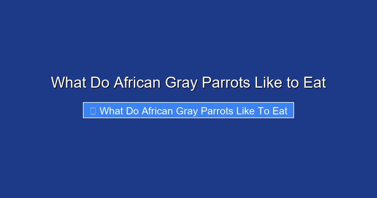 What Do African Gray Parrots Like to Eat