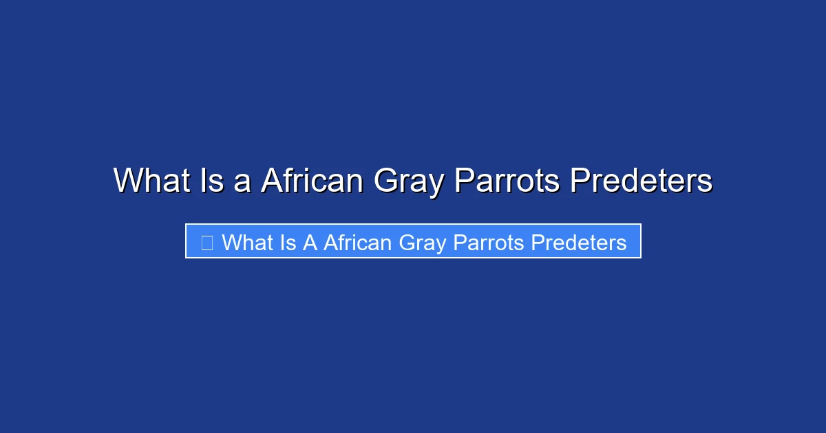 What Is a African Gray Parrots Predeters