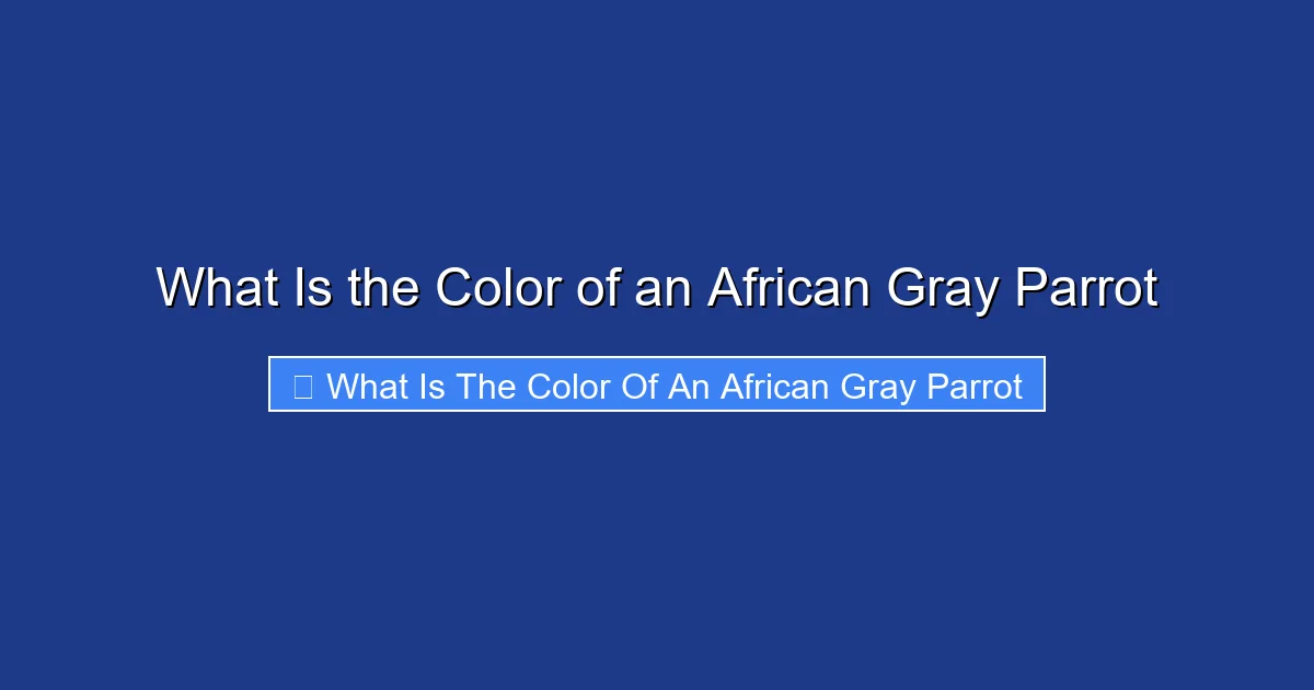What Is the Color of an African Gray Parrot