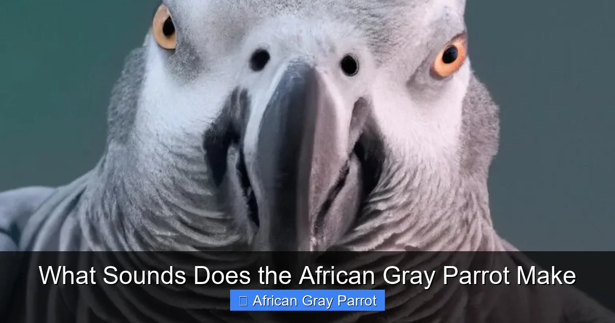 What Sounds Does the African Gray Parrot Make