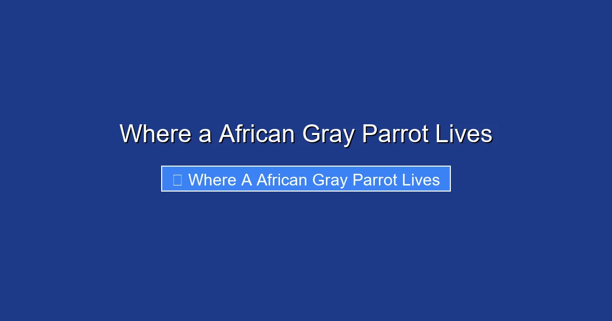 Where a African Gray Parrot Lives