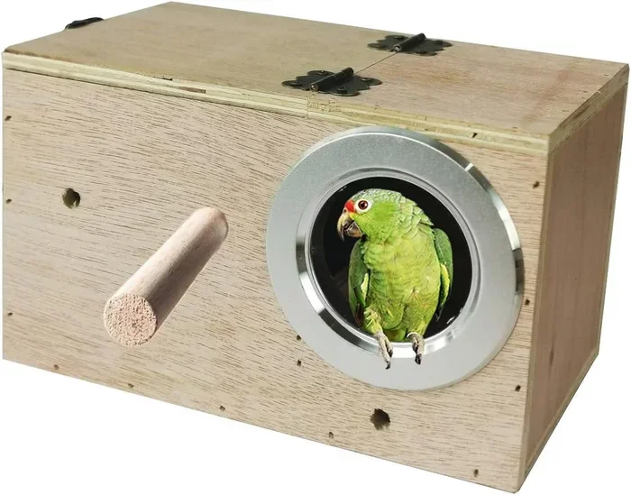 How to Breed Parrots at Home