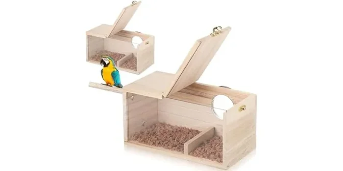 How to Breed Parakeet Birds