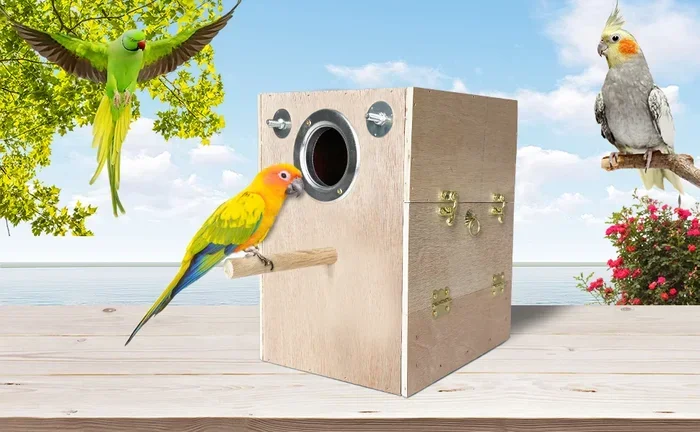 How to Breed Your Parakeets
